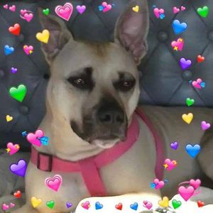 Meet your Posher, Carolyn